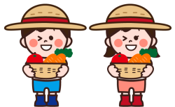 収穫期に入った野菜最新情報！（4/23 更新）