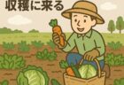 収穫販売の流れ