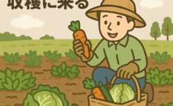 収穫販売の流れ