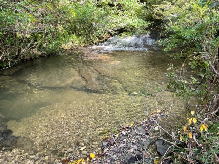 キャンプ場の遊び「川・池編」