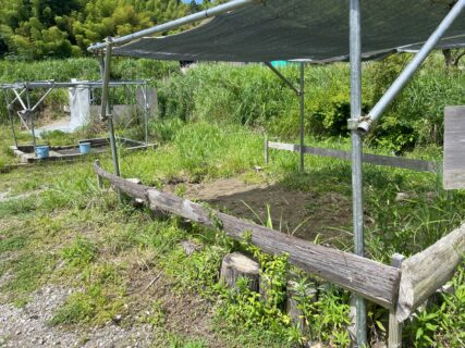 ジャブジャブ池と砂場に日除けを付けました。