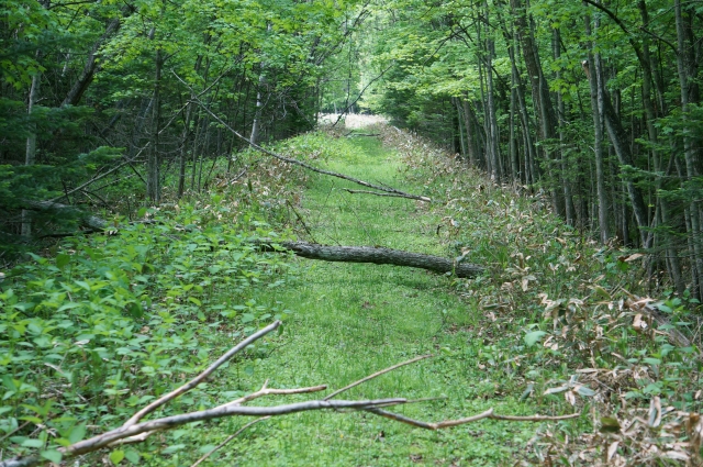 キャンプ場の土地を探す「候補地を見つけよう」