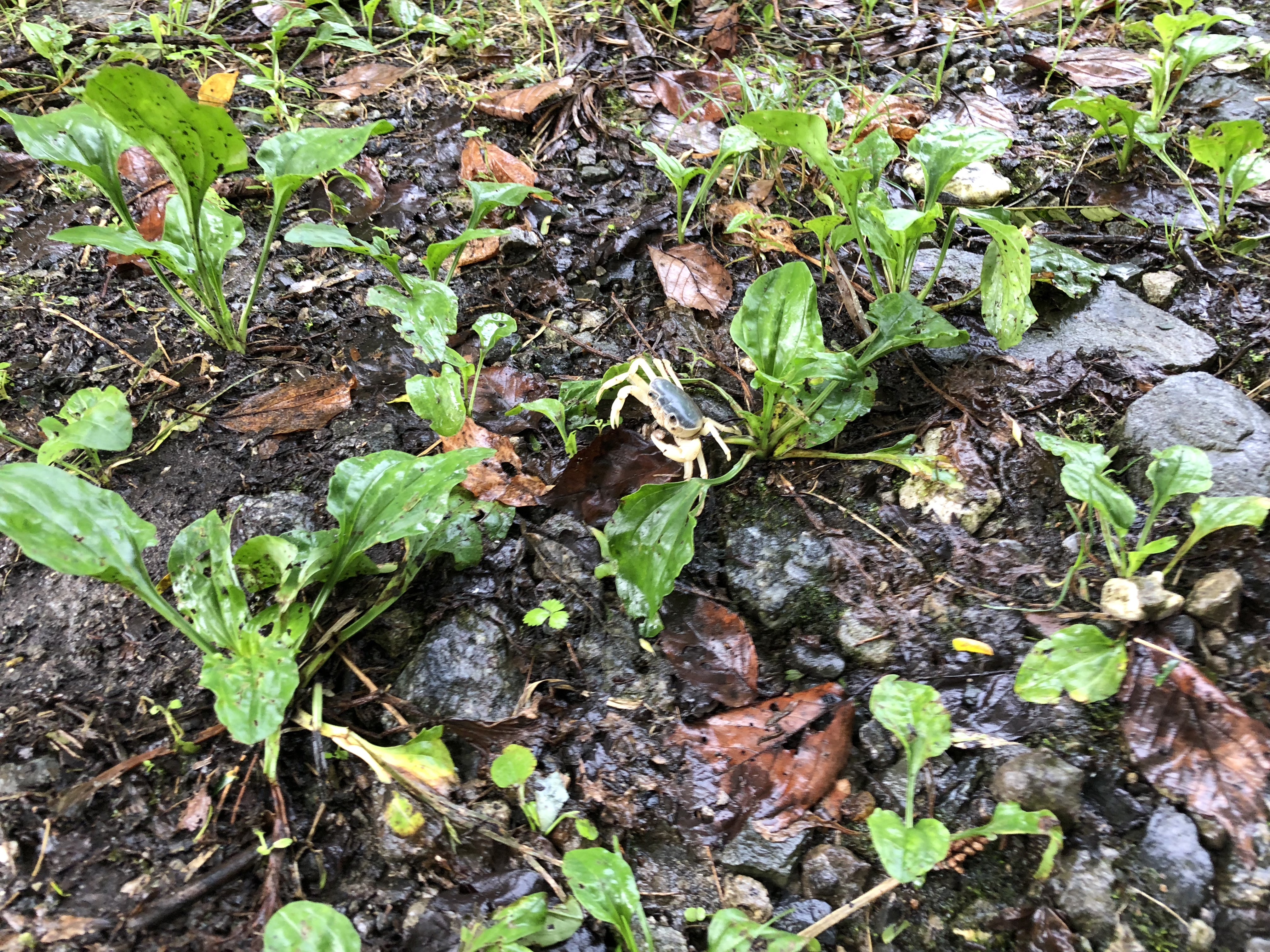 雨の日のキャンプ場の仕事