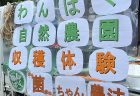 夏のイベント（収穫体験・キャンプファイヤー）について